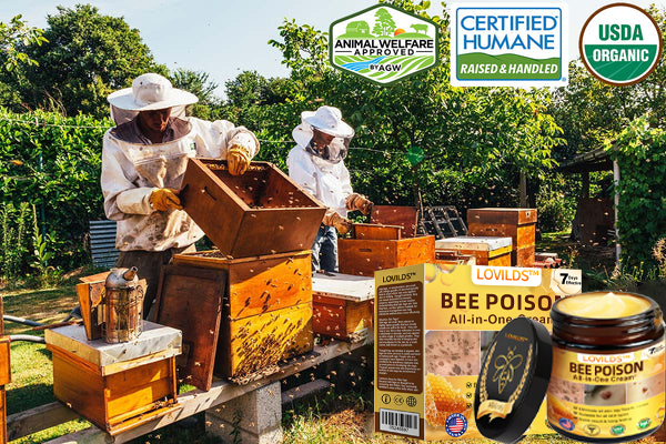 LOVILDS™ Bee Poison All-in-One Cream US Dermatologist Approved.
